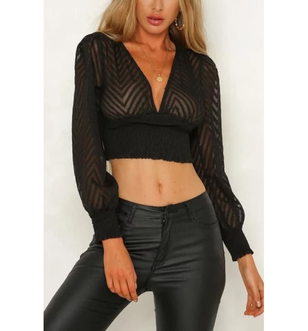 Black Plunging Lace Mesh Sexy Cropped Blouse