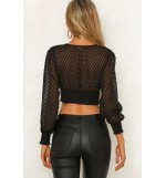 Black Plunging Lace Mesh Sexy Cropped Blouse