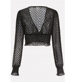 Black Plunging Lace Mesh Sexy Cropped Blouse