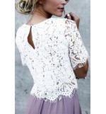 White Lace Crochet Round Neck Short Sleeve Sexy Blouse