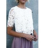 White Lace Crochet Round Neck Short Sleeve Sexy Blouse