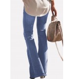 Light-blue Leopard Patch Shredded Casual Flare Jeans